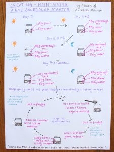 Easy-To-Follow Sourdough Starter Graphic – Ancestral Kitchen