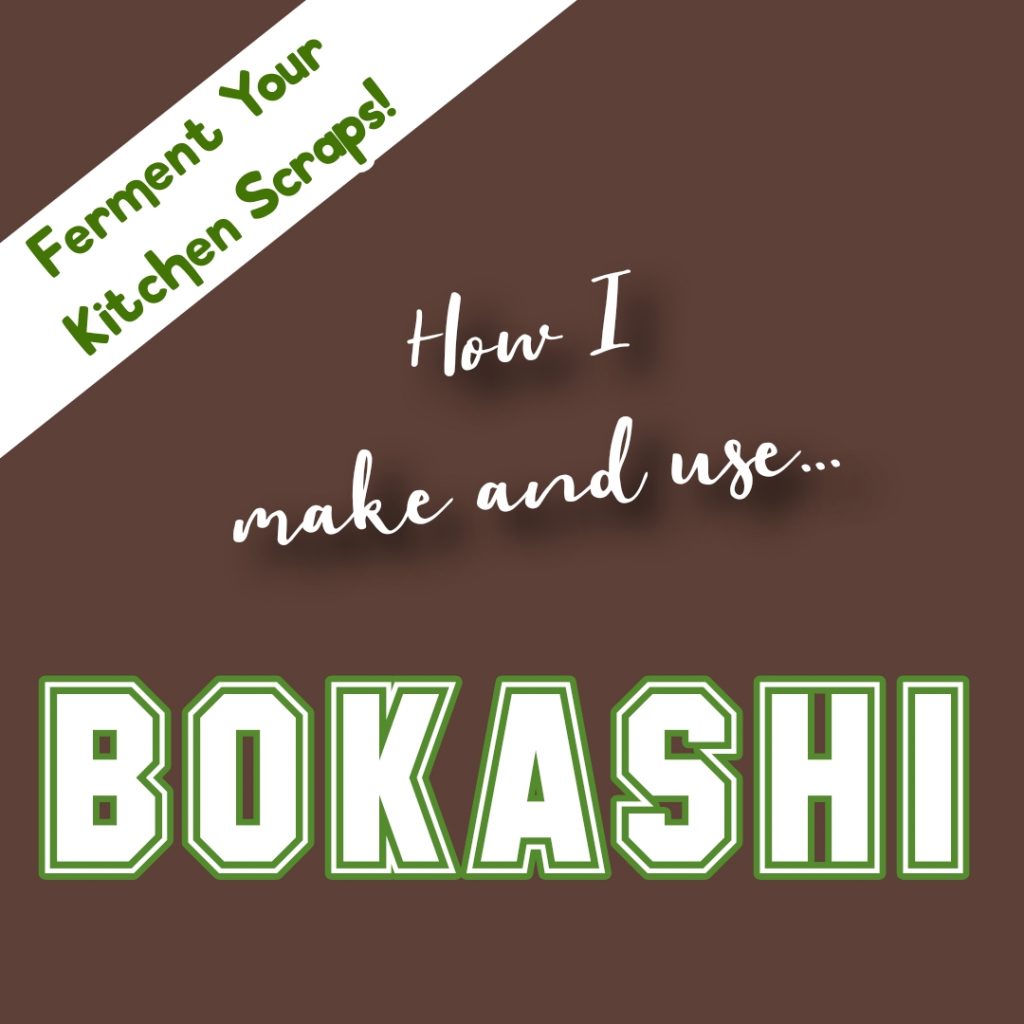 What does a successful bokashi bin look like? - Bokashi Living