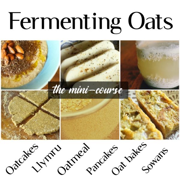 Fermenting_oats_graphic